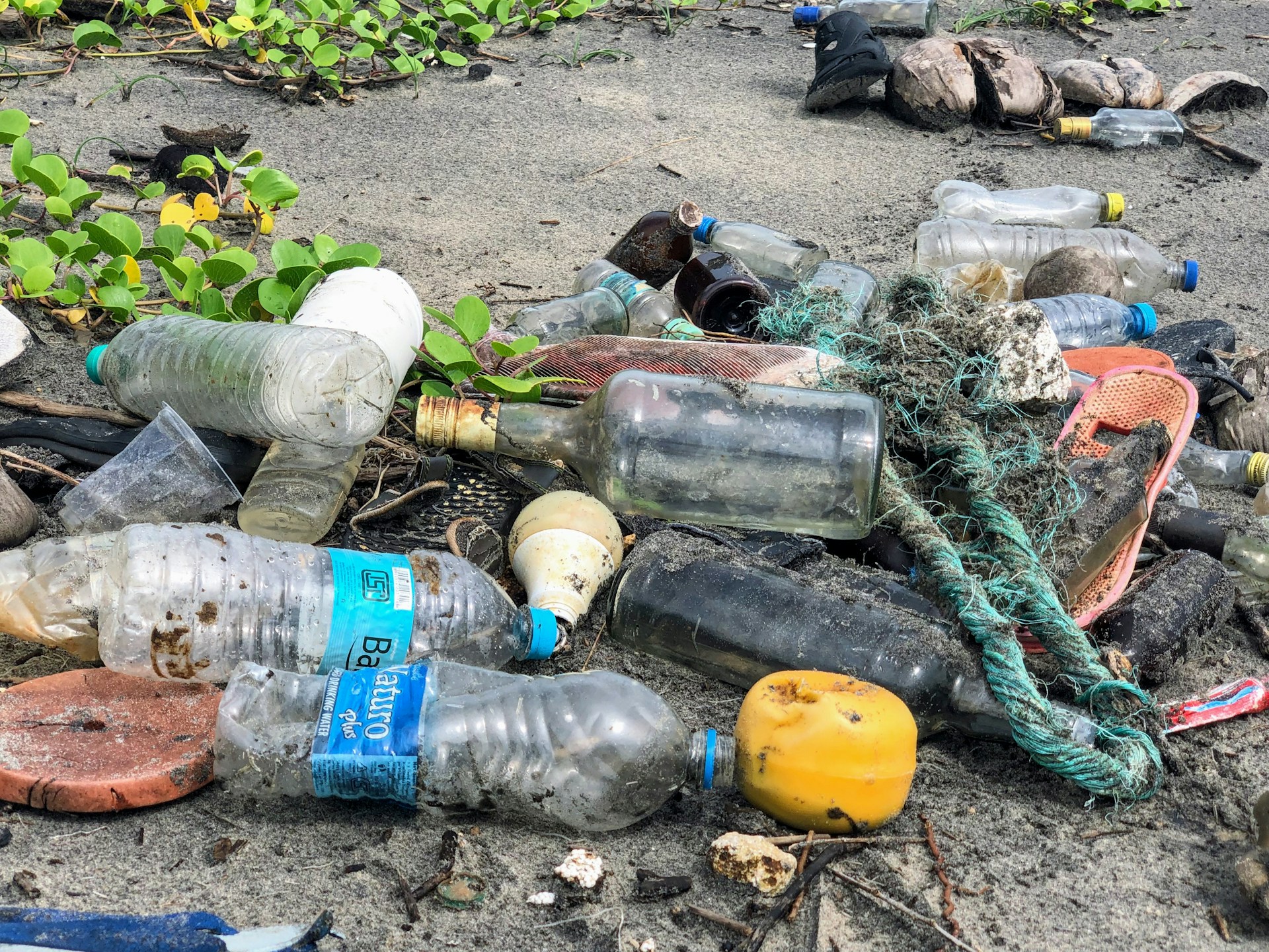 Environment